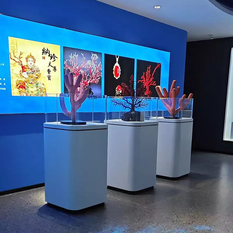 나무 디스플레이 테이블